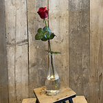 Rozen